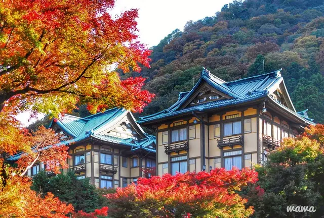 箱根町強羅から宮ノ下へ徒歩で紅葉巡り
