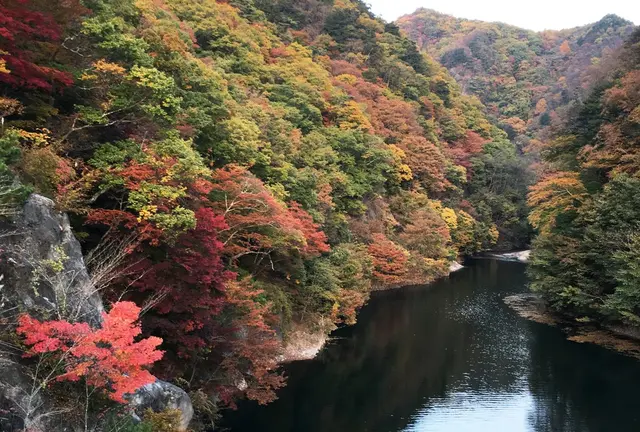 14時発、紅葉と、日帰り湯、山梨の旅。