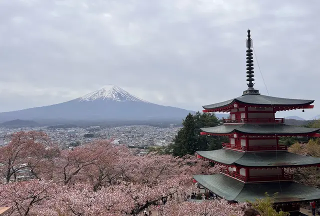 山梨、春の小旅行（河口湖周辺）
