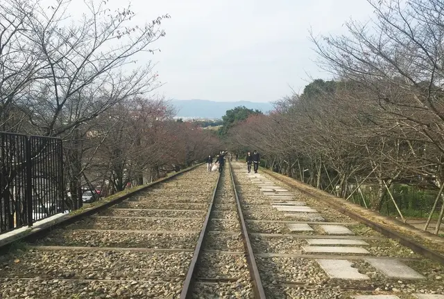 蹴上インクライン→疎水記念館→南禅寺水路閣→哲学の道→平安神宮→河原町