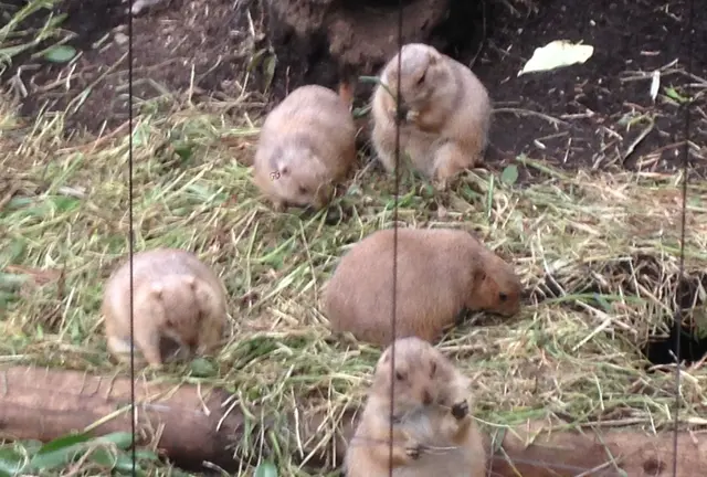上野散歩