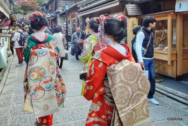 京都市バスと二万歩で紅葉巡り