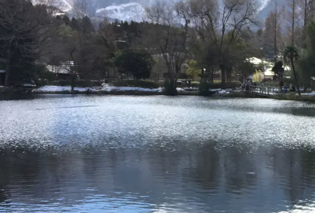 湯布院温泉と九重夢大橋