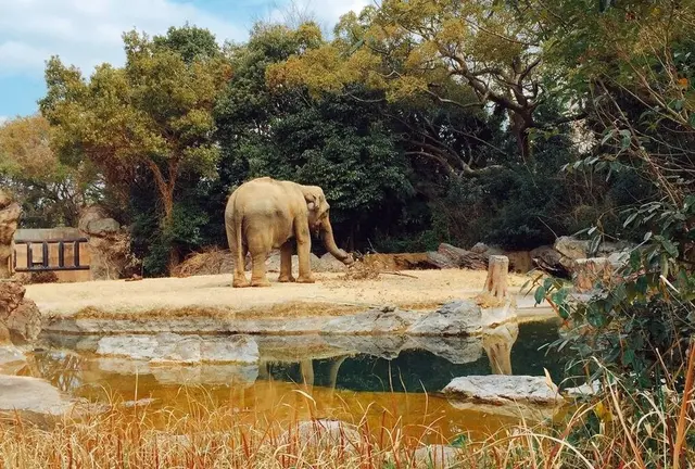 天王寺動物園＋α