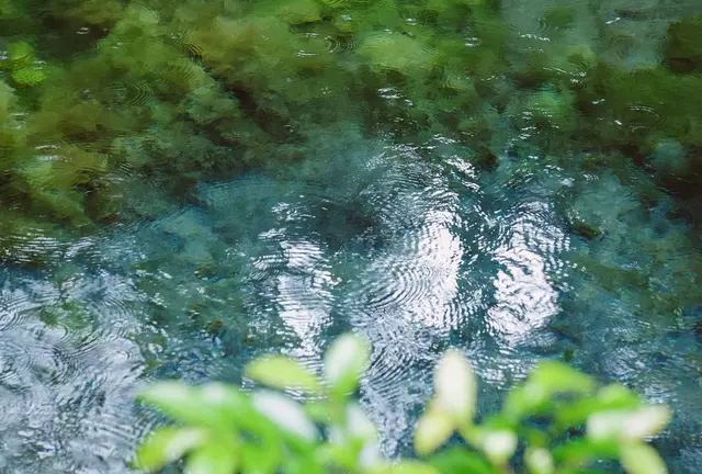 生まれたての水がキラキラ☆ 南阿蘇村の小さな旅