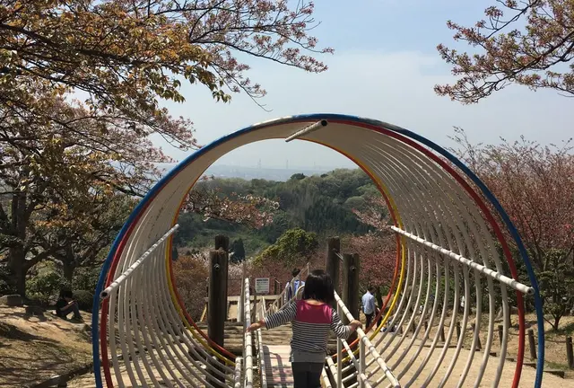 子どもと一緒にお花見を。