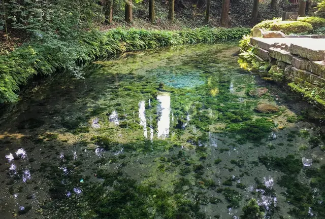 【阿蘇・小国郷 】人生のうるおいが足らない人は《水巡りの旅》でリセットしよう