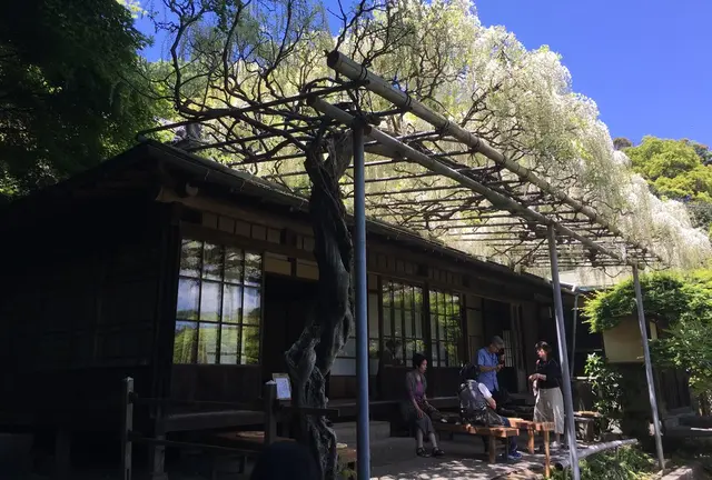 人混みを避けた鎌倉社寺巡り