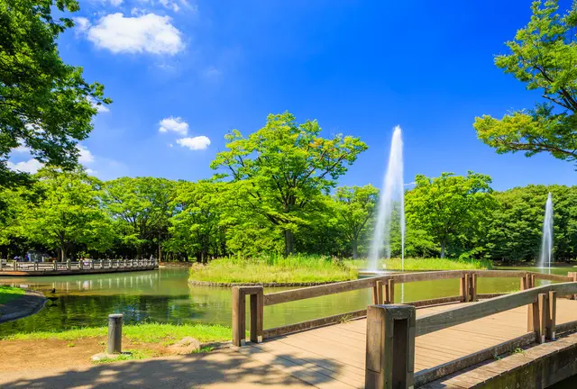 代々木公園から新宿ランチまで
