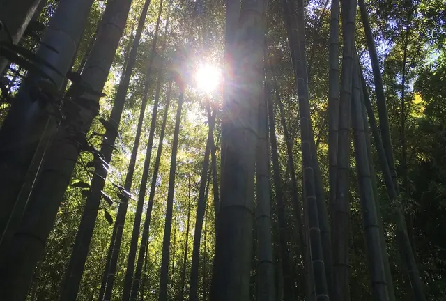 鎌倉から江ノ島までのぶらりお散歩