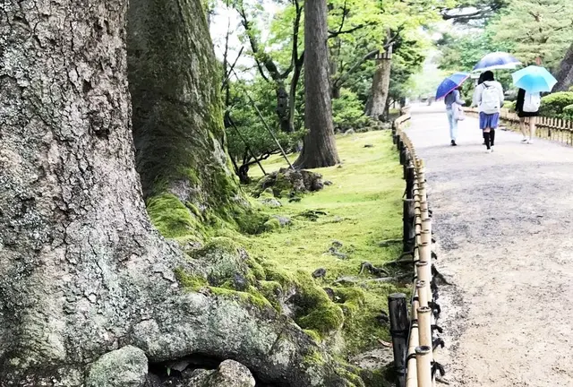 石川ファミリーキャンプと金沢観光