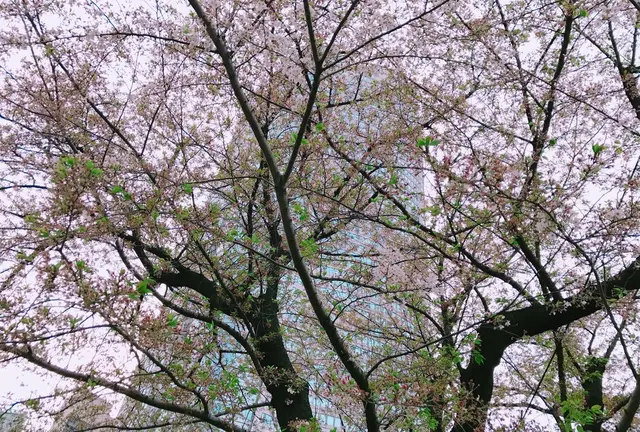 お昼からのんびり六本木