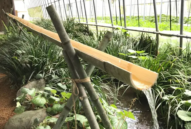 ★阿蘇の涼スポットまとめ★ 暑い夏を楽しい夏に！