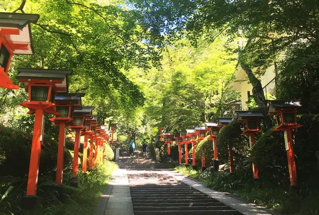 紫陽花を楽しむ！6月京都のたび