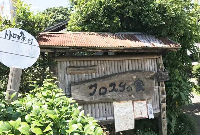 狭山湖 梅雨の晴れ間 のんびり散歩