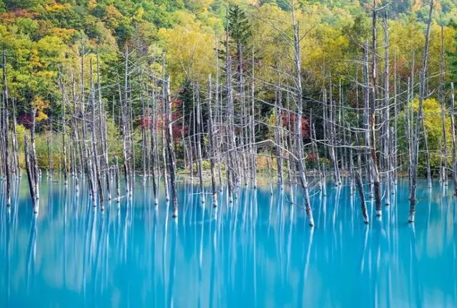 あふれるインスタ欲が止められない！！！北海道の魅惑スポット