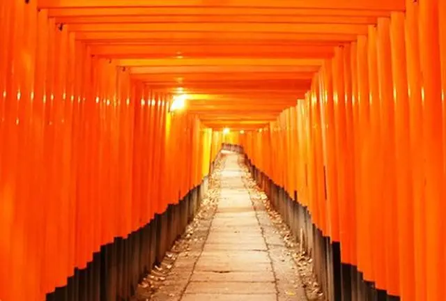 ミーハー京都巡り🍁