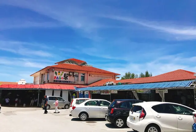 初めての沖縄観光✈️2泊3日で本島を満喫🏖 - 美ら海水族館とその周辺を満喫！編