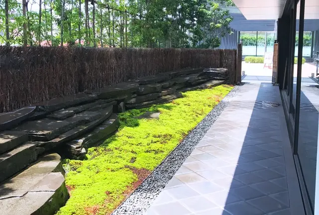 【青山・表参道・原宿】…SNS独占！「ブラックかき氷！？」×「和カフェ」＝進化系「和食」はコレ✍️