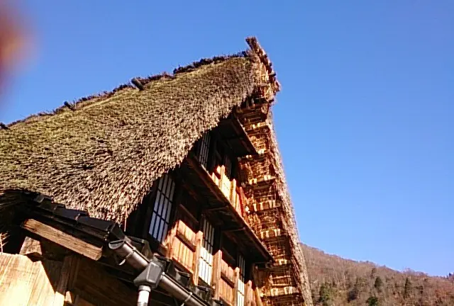 一泊白川郷から下呂温泉♨︎から郡上八幡までの旅🥰