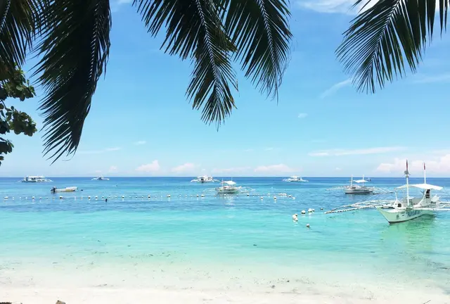 フィリピン ボホール島の美しい海と緑がいっぱいのリゾート旅プラン