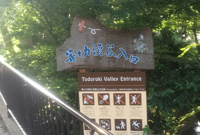 ぶらり等々力渓谷の旅