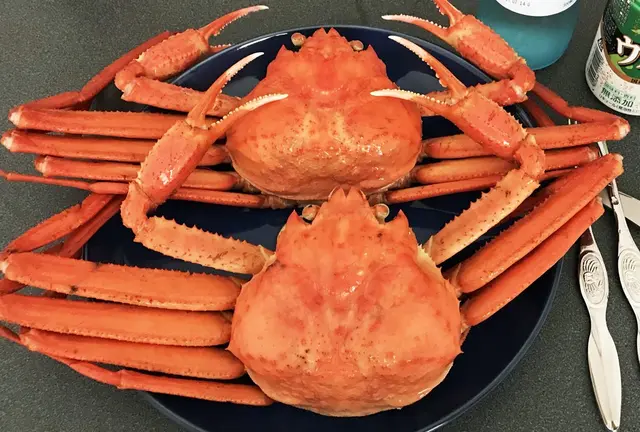 境港で、カニ三昧