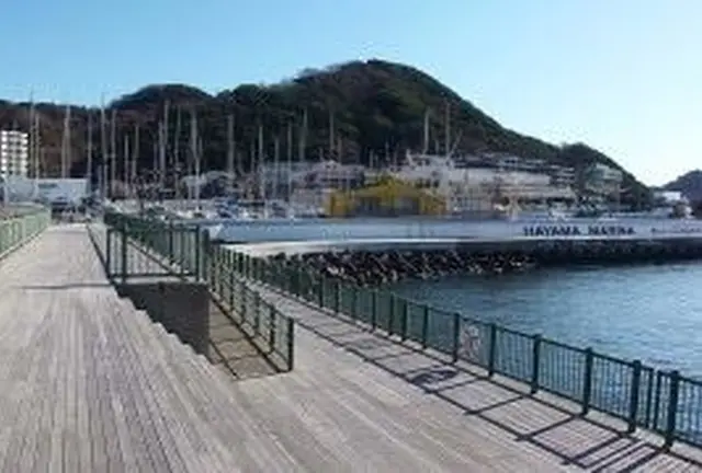 葉山港で釣り
