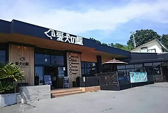 愛犬と行く伊豆ドライブ♪