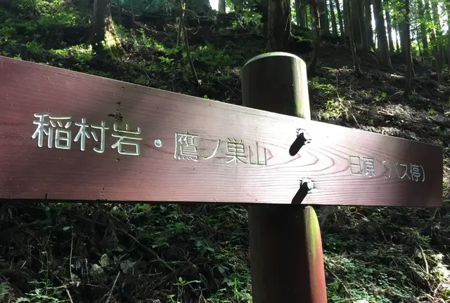 奥多摩登山日帰りコース〜鷹ノ巣山〜