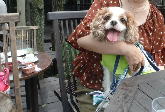 愛犬と行く那須高原🎵