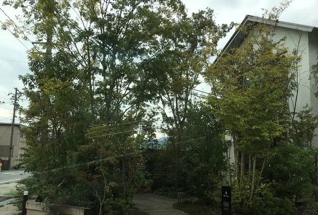 隠れ家カフェ
