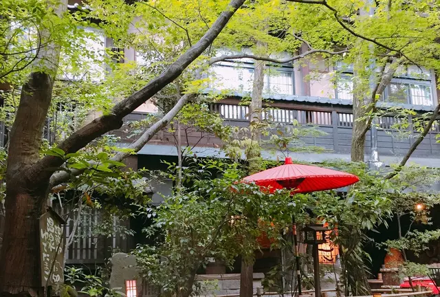 阿蘇の推し温泉5選♨️絶景カフェを添えて