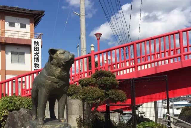 【 秋田 】大館をめぐる食べる癒される📸