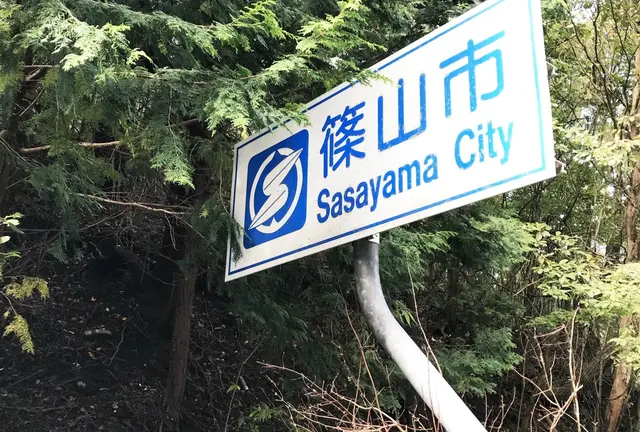 丹波篠山・黒枝豆のシーズン