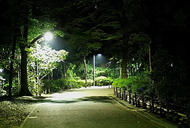 代々木公園