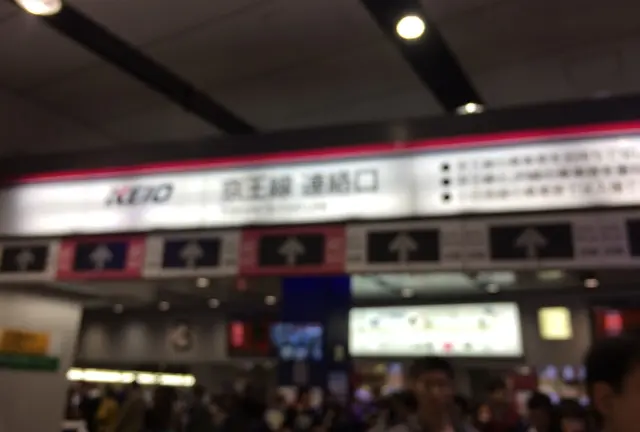 高尾山 H29,11,5 (日)
