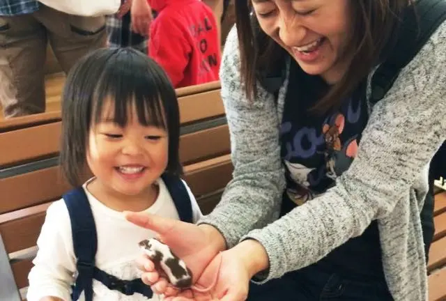 子ども大喜び♪阿蘇周辺の動物と触れ合えるスポットまとめ