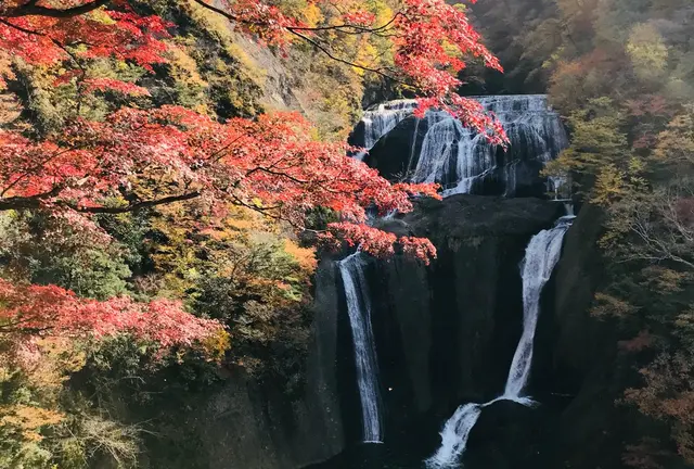 水戸発！日帰りで奥久慈・大子町めぐり