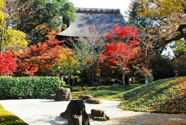 都内で紅葉を楽しむ（世田谷区と近隣）