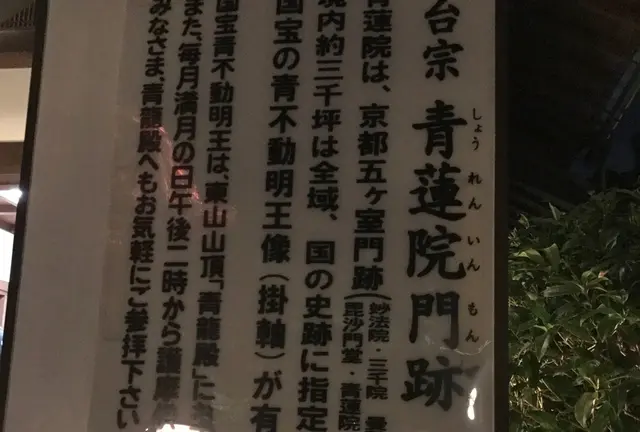 青蓮院門跡 ライトアップ