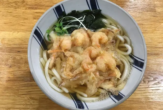 高知旅