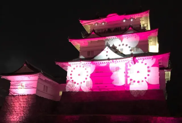 [小田原]冬桜🌸イルミネーションとフレンチ🇫🇷回転寿司🍣