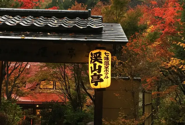 楽しめるモフモフ！オススメのたぬき(動画あり)がいる信州の旅