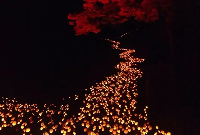 大分県竹田市 城下町・大自然・温泉の贅沢コース