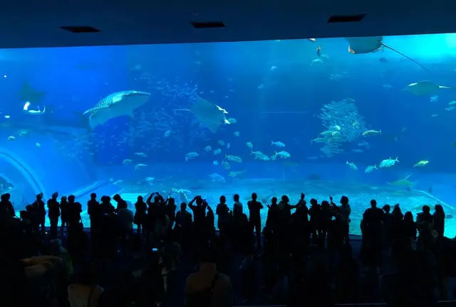 沖縄3日間旅行(東京ー>沖縄)