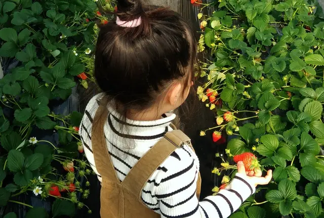 【館山】一足先に春を感じたい！