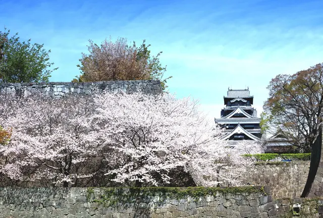 【熊本旅行】