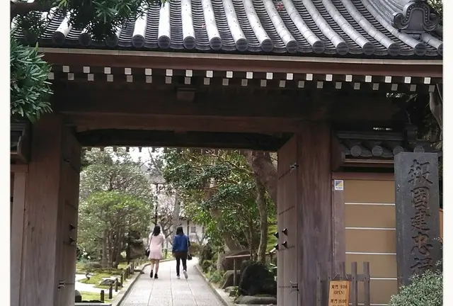 おひとり様の鎌倉梅三昧