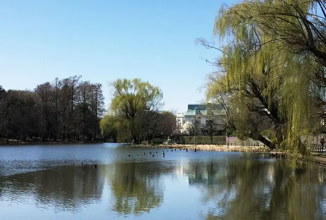 石神井公園で春デート